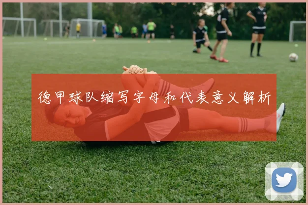 德甲球队缩写字母和代表意义解析