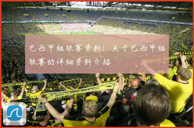 巴西甲组联赛资料：关于巴西甲组联赛的详细资料介绍