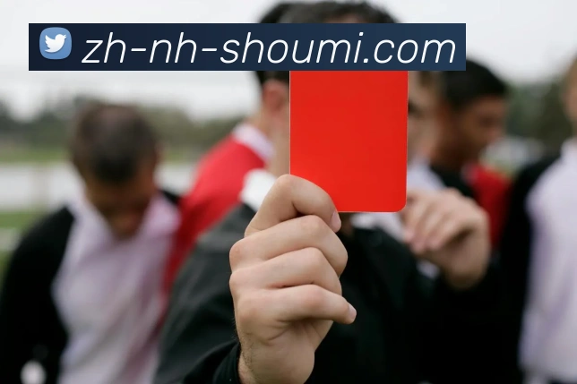 收米体育直播平台生态图